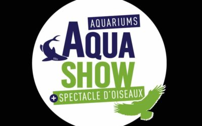 AQUA SHOW (Audierne)